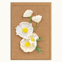 Daisies Birthday Handmade Card