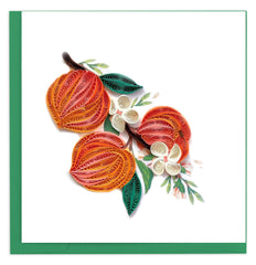 Quilled Peaches Greeting Card