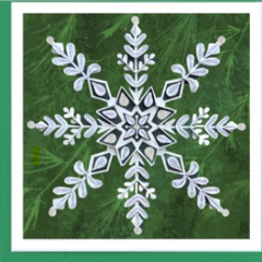 Quilled Snowflake on Pine Greeting Card