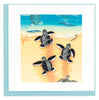Quilled Sea Turtle Hatchlings Greeting Card
