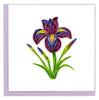 Quilled Iris Flower Greeting Card