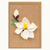 Thank You White Magnolia Handmade Card