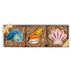 Quilled Seashell Ornaments Box Set