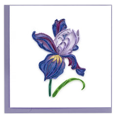 Quilled Iris Bloom Greeting Card