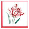 Quilled Red & White Tulip Bloom Greeting Card