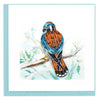 Quilled American Kestrel Greeting Card