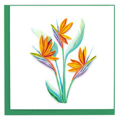 Quilled Bird of Paradise Greeting Card