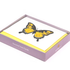 Quilled Butterflies: Collection 1 Note Card Box Set
