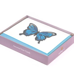 Quilled Butterflies: Collection 2 Note Card Box Set